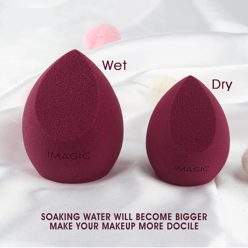 Two makeup sponges labeled 'Wet' and 'Dry' with text on a white background.