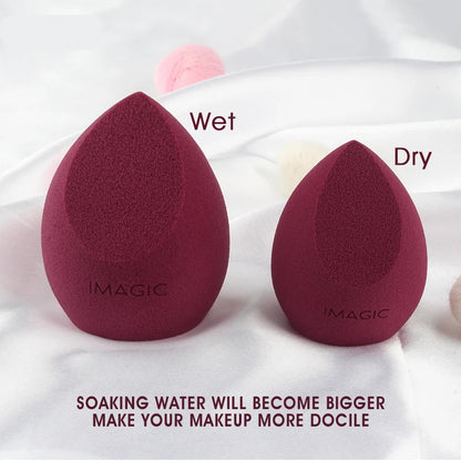 Two makeup sponges labeled 'Wet' and 'Dry' with text on a white background.
